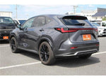 LEXUS NX450h+ AWD