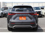 LEXUS NX450h+ AWD