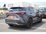 LEXUS NX450h+ AWD