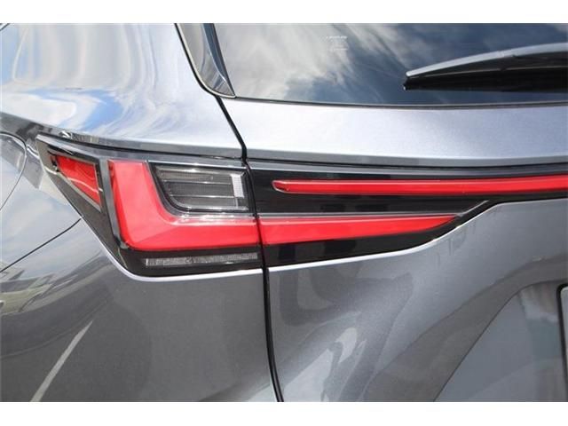LEXUS NX450h+ AWD