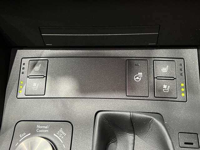 LEXUS IS300h