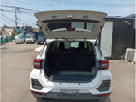 RAIZE HYBRID