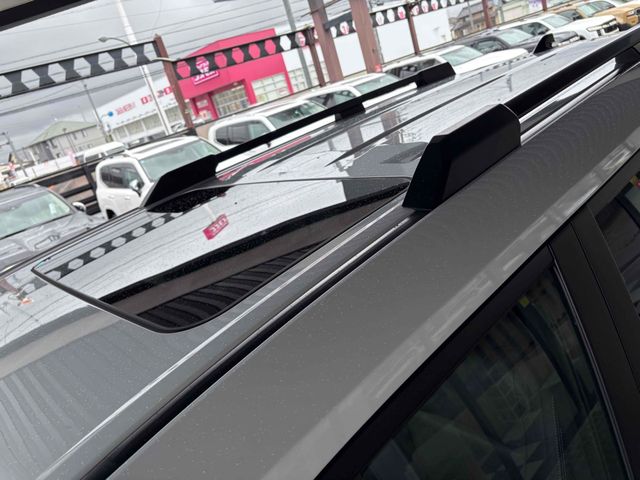 LANDCRUISER 250