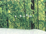 CROWN SPORT