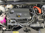 CROWN SPORT