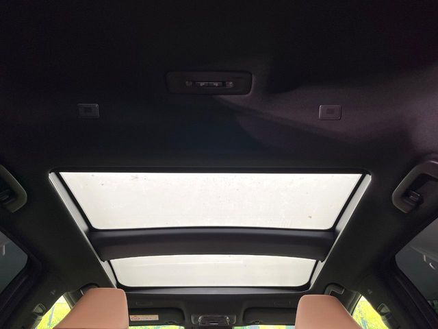 CROWN SPORT