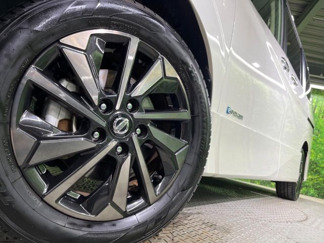 SERENA  WG