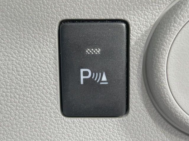 MIRA e:S