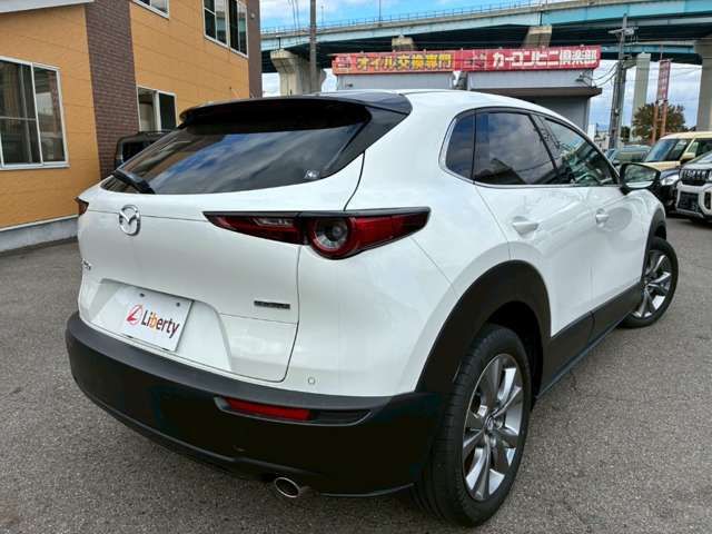 CX-30