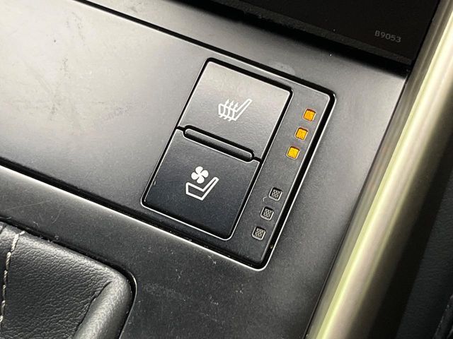 LEXUS IS300h
