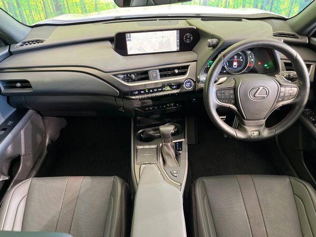 LEXUS UX250h