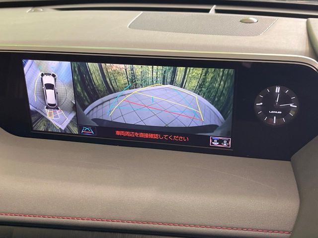 LEXUS UX250h