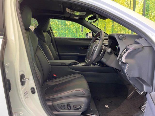 LEXUS UX250h
