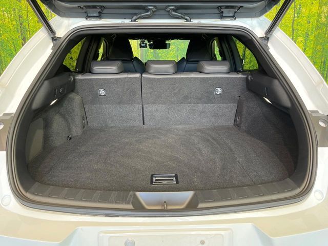 LEXUS UX250h