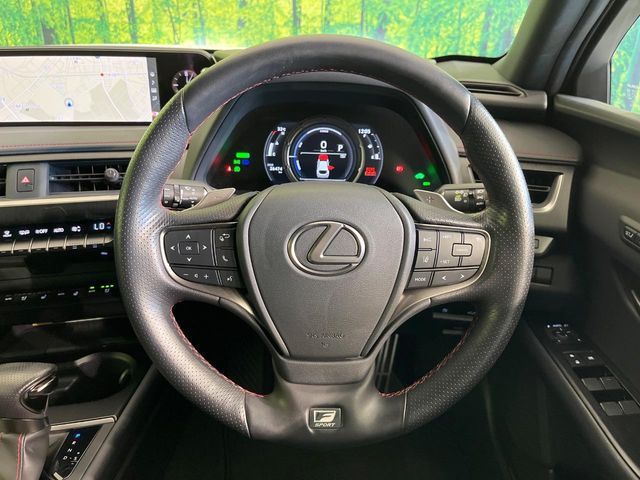 LEXUS UX250h
