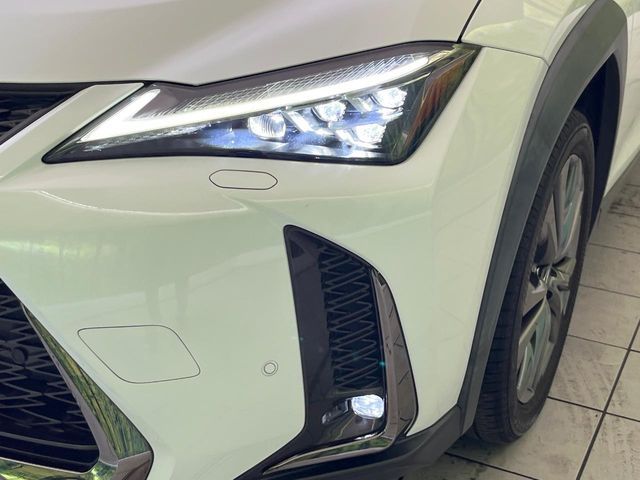 LEXUS UX250h