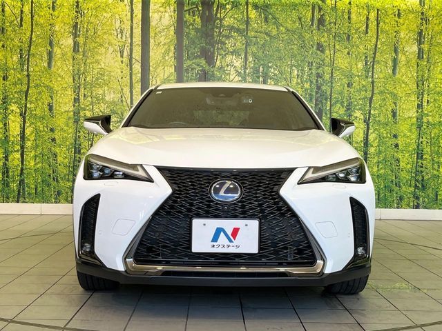 LEXUS UX250h