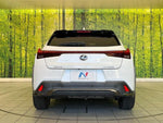 LEXUS UX250h