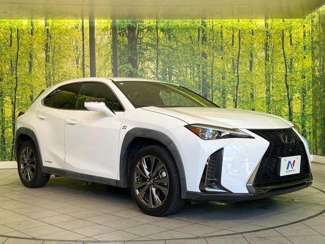 LEXUS UX250h