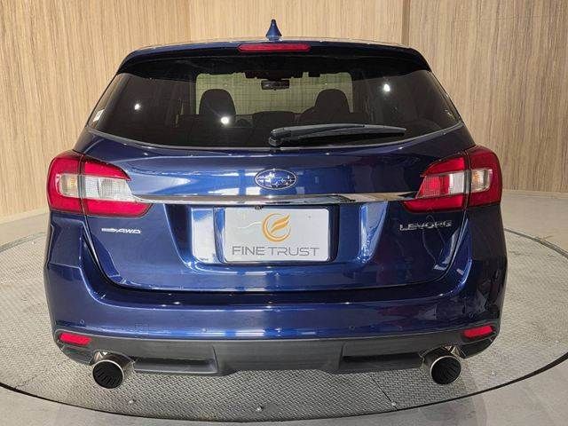 LEVORG