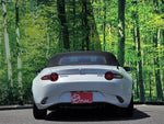 ROADSTER