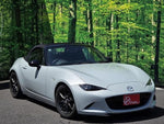 ROADSTER
