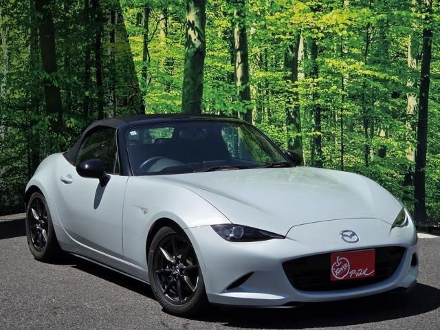 ROADSTER