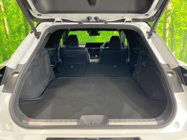 CROWN SPORT