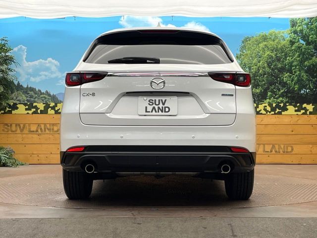 CX-8