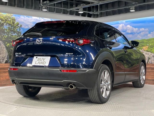 CX-30
