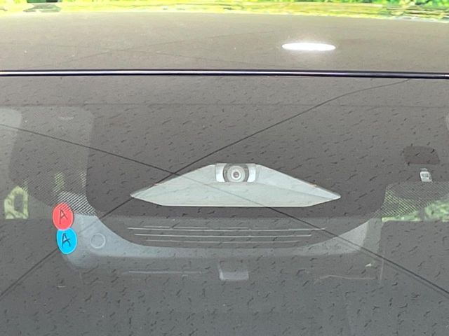 CROWN SPORT
