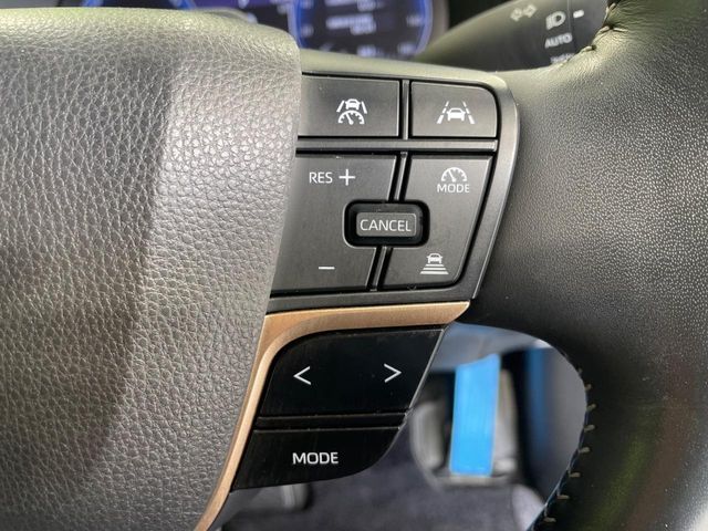 CROWN SPORT
