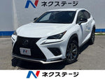 LEXUS NX300