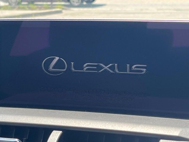 LEXUS NX300