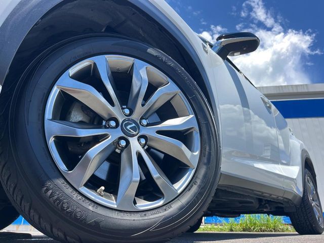 LEXUS NX300