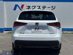LEXUS NX300
