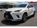 LEXUS NX300h