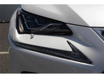 LEXUS NX300h