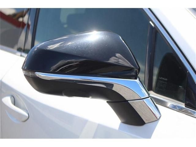 LEXUS NX300h