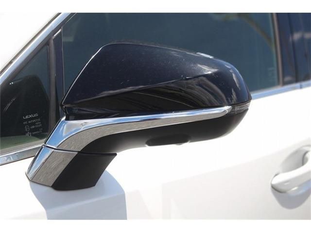 LEXUS NX300h