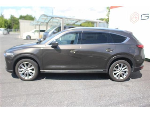 CX-8