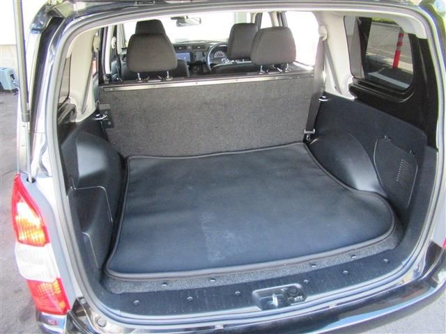 PROBOX van HYBRID