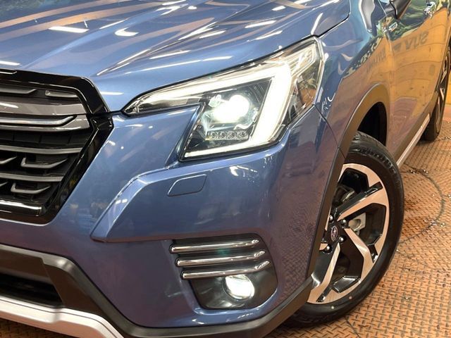 FORESTER