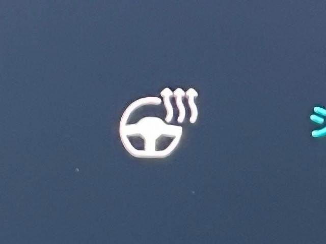 CITROEN DS4