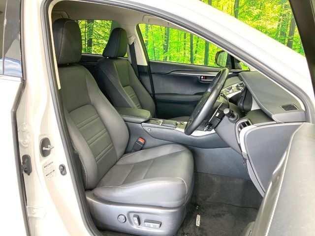 LEXUS NX300h