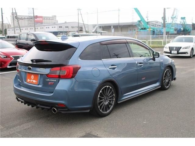 LEVORG