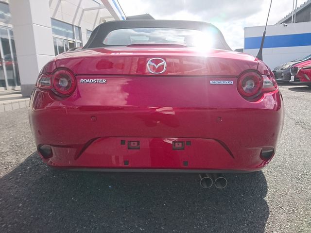 ROADSTER