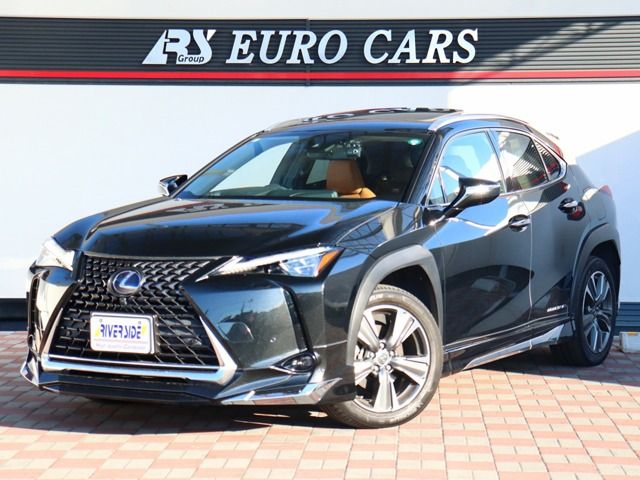 LEXUS UX300e