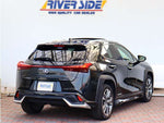 LEXUS UX300e