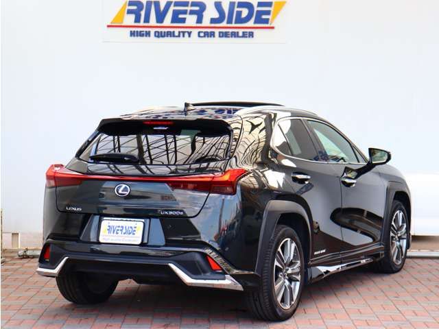 LEXUS UX300e